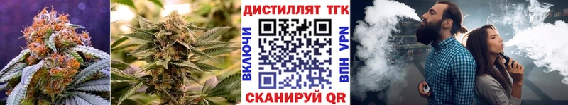 blacksprut ссылки  Зуевка  ТГК гашишное масло 